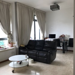 Viz At Holland (D10), Condominium #188175692